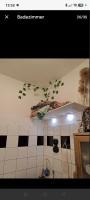 Artistic, serene, urban oasis in the heart of Friedrichshain - Chambres d'hôtes Berlin