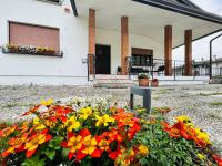 AlMi House - Colline del Prosecco - B&B Soligo