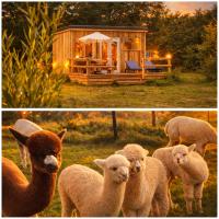 Dartmoor Reach Alpaca Farm - B&B Bovey Tracey
