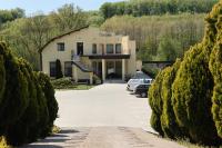 Pensiunea Cavaler - B&B Băile Felix