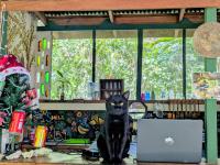 Smile Jungle Hostel - B&B Puerto Viejo