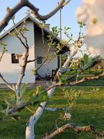 Veseli svet-Zvizdar,Ub - Bed and Breakfast Ub