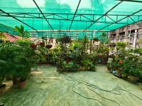 Perfect for Homely Atmosphere - B&B Calcuta