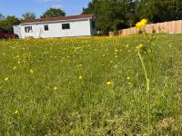 Toad Hall Suite - Ferienwohnung Chelmsford