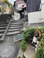 宿bank空港前18 - Bed and Breakfast Fukuoka