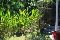 Cozy 2BR House Near Pering Beach Gianyar Bali - B&B Curahmas