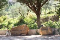 Ciuci's Manor - B&B Aragona