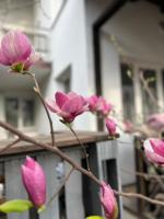 Family Apartments Dorobok Lviv - B&B Lviv