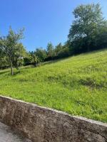 Home Viteskic - B&B Gornji Kotorac