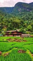Mắn Mẩy homestay - B&B Tả Van