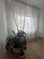 Ferienwohnung Kirschtraum - Chambres d'hôtes Mülheim-Kärlich