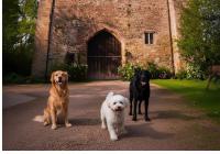 Welsh Gatehouse A Historic Castle Retreat that Welcomes Dogs and Electric Vehicles - B&B Mathern