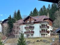 Apartment BERG NEST near ski slope - Chambres d'hôtes Bad Kleinkirchheim