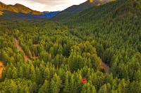 Secluded Greenwater Cabin with Loft Near Rainier - Ferienwohnung Enumclaw