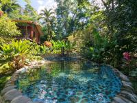 Tropical Forest Adventure Near Arenal Volcano - B&B Chachagua