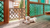 Gyeongju gampo byeolbit hanok Pension - Bed and Breakfast Gyeongju