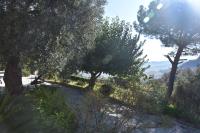Azienda Agrituristica Biologica Il Querceto - B&B Santa Severina