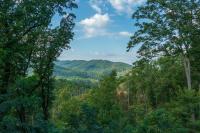 Fantastic View King Beds Fire pit Hot tub Pet friendly Mins GBPF - Bed and Breakfast Gatlinburg