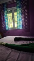 Mermaid house - B&B Drama