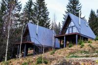 Forest Huts - B&B Yablunytsia