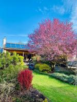 Apartmán Němčice u Boskovic - B&B Němčice