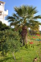 Appartamento con 2 Camere da Letto e Terrazza 