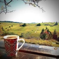 Stevina koliba - B&B Bajina Bašta