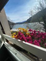 La tana del lupo -soggiorni rilassanti sul lago - Bed and Breakfast Ranzanico