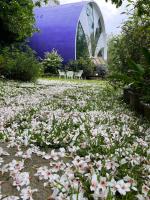 Maison-Philo Homestay B & B - B&B Sanyi