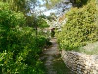 Sous l'Olivier - B&B Buisson