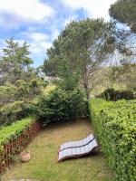 Bergamot Apartment with Terrace and Sea View - B&B Scalea