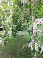 B & B CUORE TOSCANO - B&B Collesalvetti