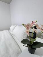 MaVi House - B&B Kutaisi
