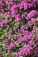 Azienda Agrituristica Biologica Il Querceto - B&B Santa Severina