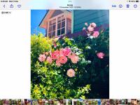 Hawk's Nest Bed & Breakfast - Chambres d'hôtes Bathurst