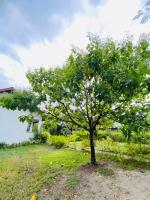 Singon LOMBOK Homestay and Surf - B&B Selongbelanak