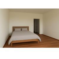 Light Cozy Apartment - B&B Vienna