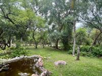 Galago's Nest Bush Chalets - B&B Marloth Park