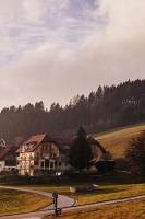 Wildwiesenhof - B&B Miesenbach bei Birkfeld