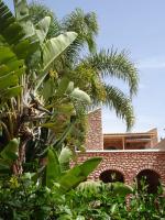 chambres d'hôtes des 1001 Étoiles Essaouira avec piscine - B&B Essaouira