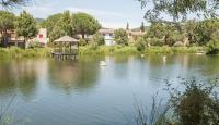 Small Paradise Sea View - Bed and Breakfast Grimaud