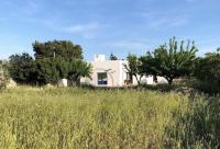 Villa Don Mimmo - Ferienwohnung Campomarino