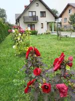 Willa Andzia Guest House - Ferienwohnung Zarzecze
