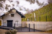 Holiday Home Meadow&Vines with Hot Tub - B&B Videm pri Ptuju