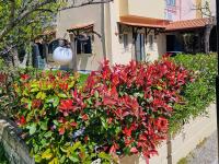 House near the sea - B&B Pefkochori