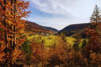 Forestum - Black Forest Luxury Apartments mit Sauna - Chambres d'hôtes Menzenschwand