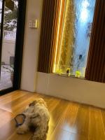 Casa Sandrine resort - Ferienwohnung Malolos City