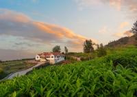 Magnolia by Nature Resorts and Stays, Coonoor - B&B Coonoor