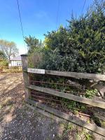 Hollylea Cottage - New Forest - B&B Godshill