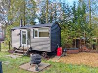 Forest Shepherd Hut - Ringwood - National Park - New Forest - B&B Ringwood